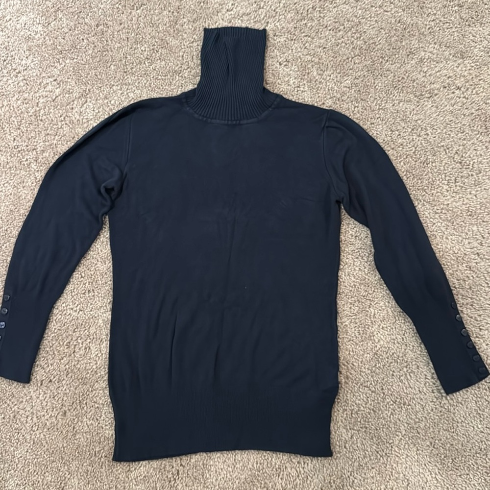 Blue Turtle Neck